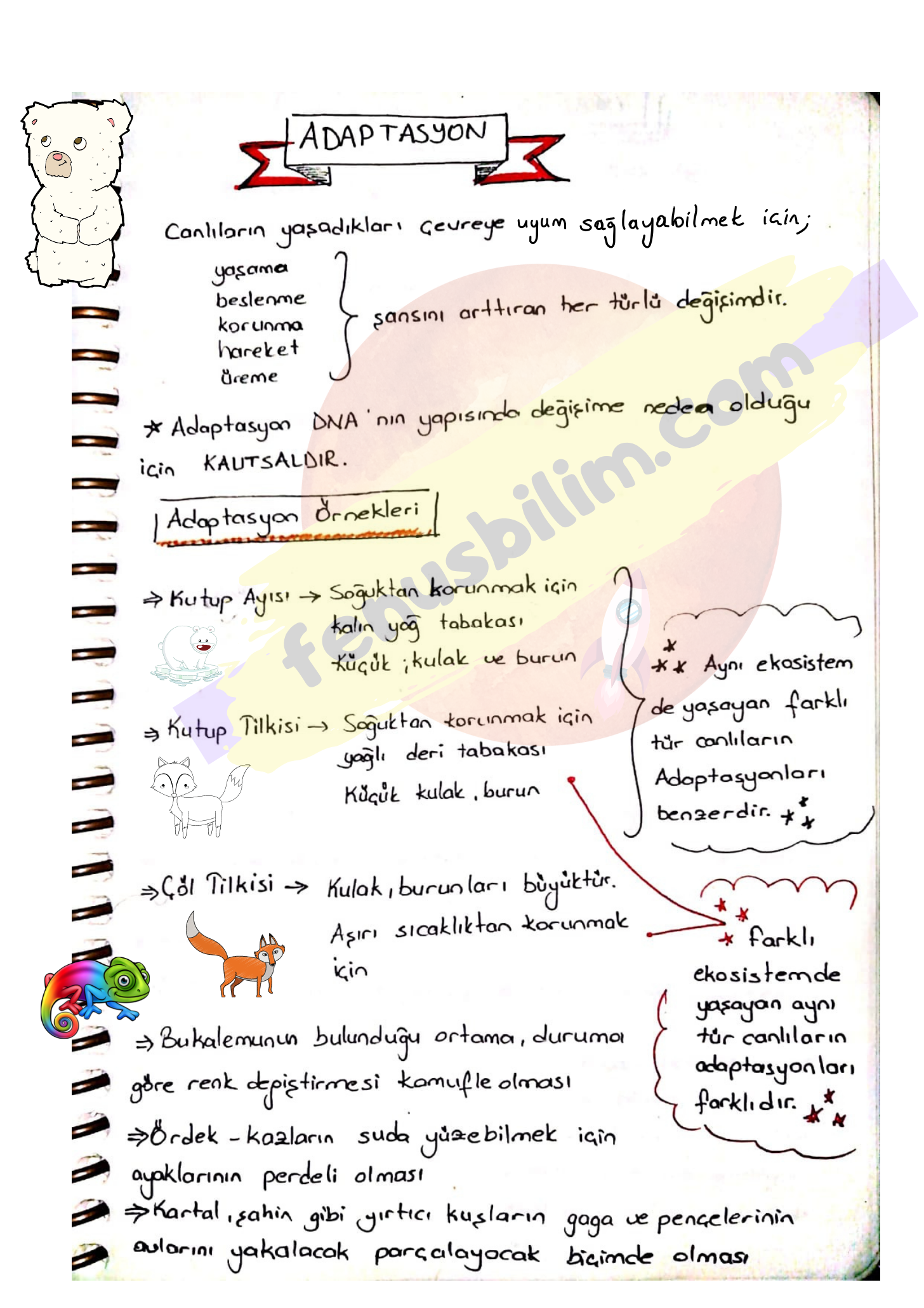 DERS NOTU pdf