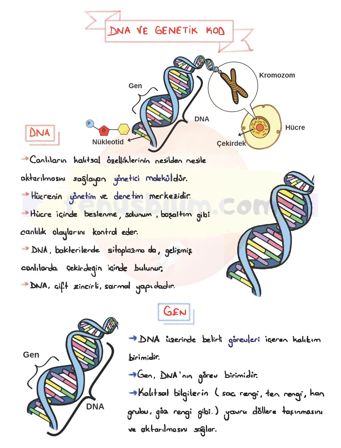 Mevsimler ve İklim Ders Notu İlk Bölüm pdf