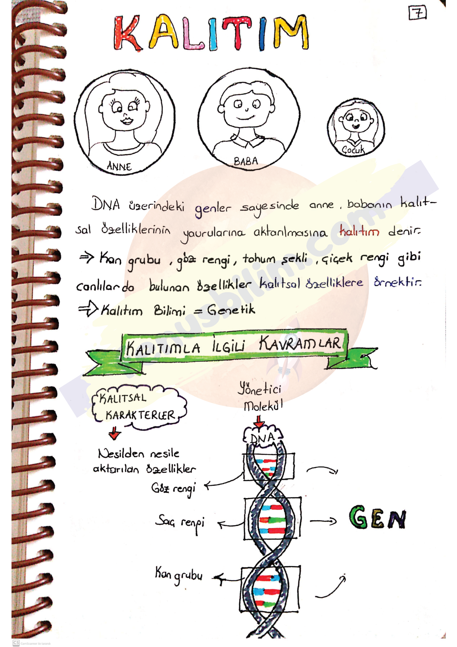Mevsimler ve İklim Ders Notu İlk Bölüm pdf
