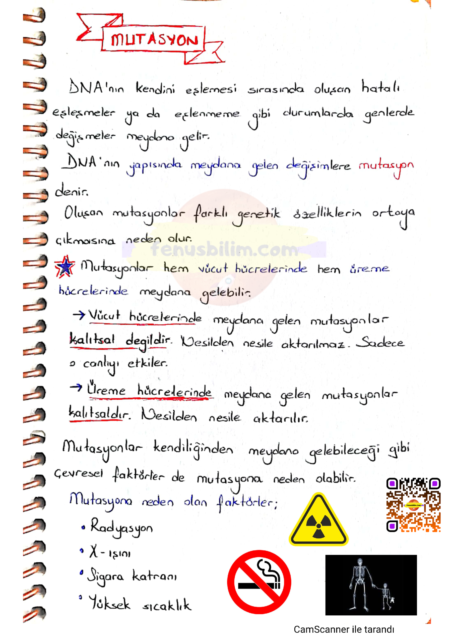 Mevsimler ve İklim Ders Notu İlk Bölüm pdf
